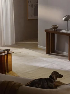 Online Alfombra artesanal de algodón texturizada Dania Rectangular|Alfombras Rectangulares