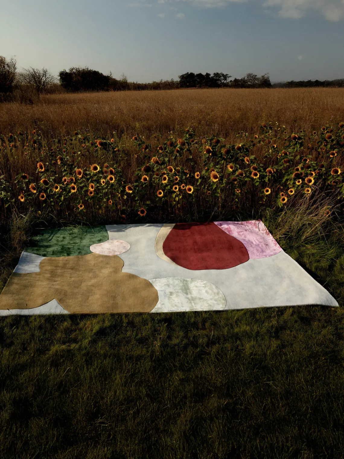 Hot Alfombra artesanal de lana de pelo largo Secret Garden Rectangular|Alfombras Rectangulares