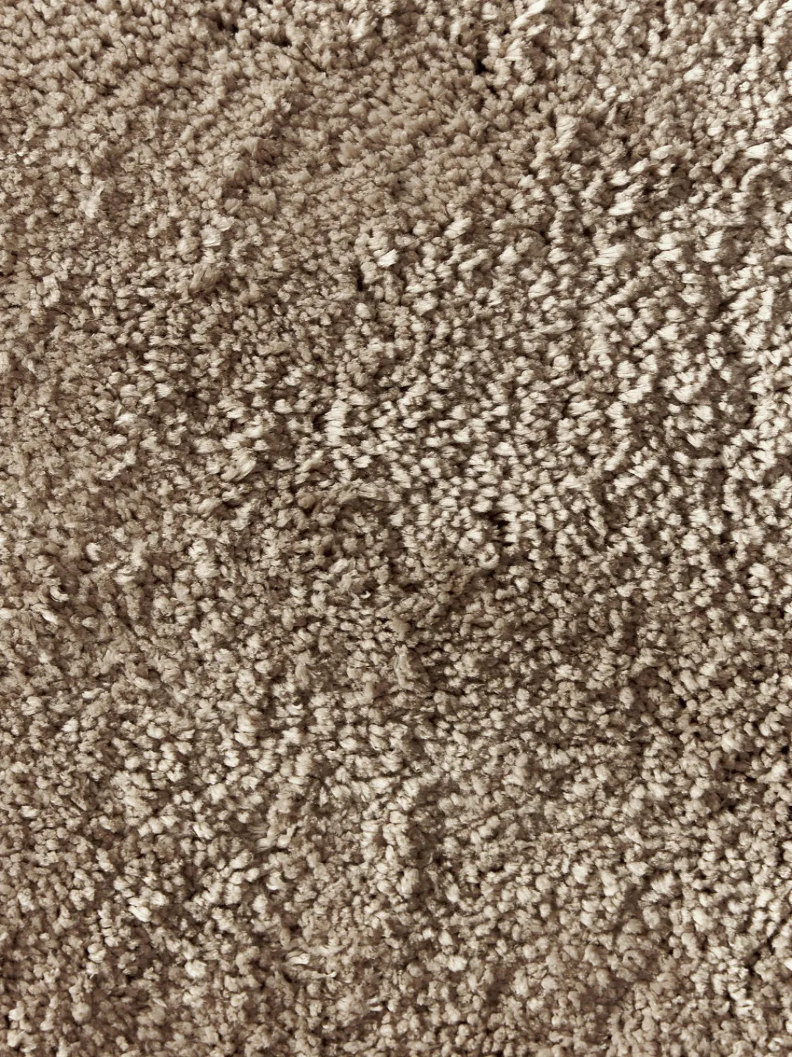 Discount Alfombra corredor de pelo largo Leighton Alfombras De Pasillo|Alfombras De Pasillo