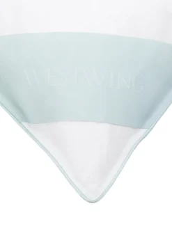 Clearance Almohada de plumas Comfort, firmeza media Almohadas|Mantas