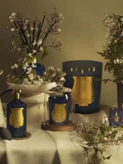 Ambientadores|Jarrones></noscript>Trudon Ambientador artesanal en spray Salta Pomelo