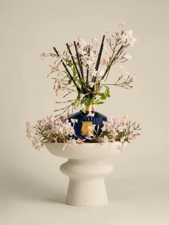 Ambientadores|Jarrones>Trudon Ambientador artesanal Maduraï (jazmín puro árabe) Jazmín árabe puro