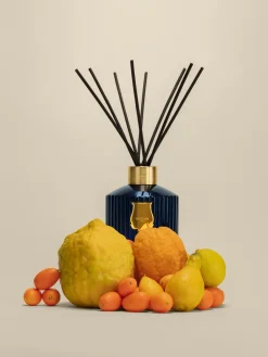 Ambientadores|Jarrones>Trudon Ambientador artesanal Reggio Mandarina