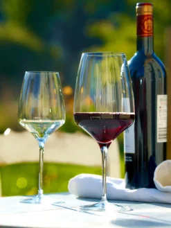 Copas de vino blanco de cristal Experience, 6 uds. Copas De Vino|Vajillas Completas