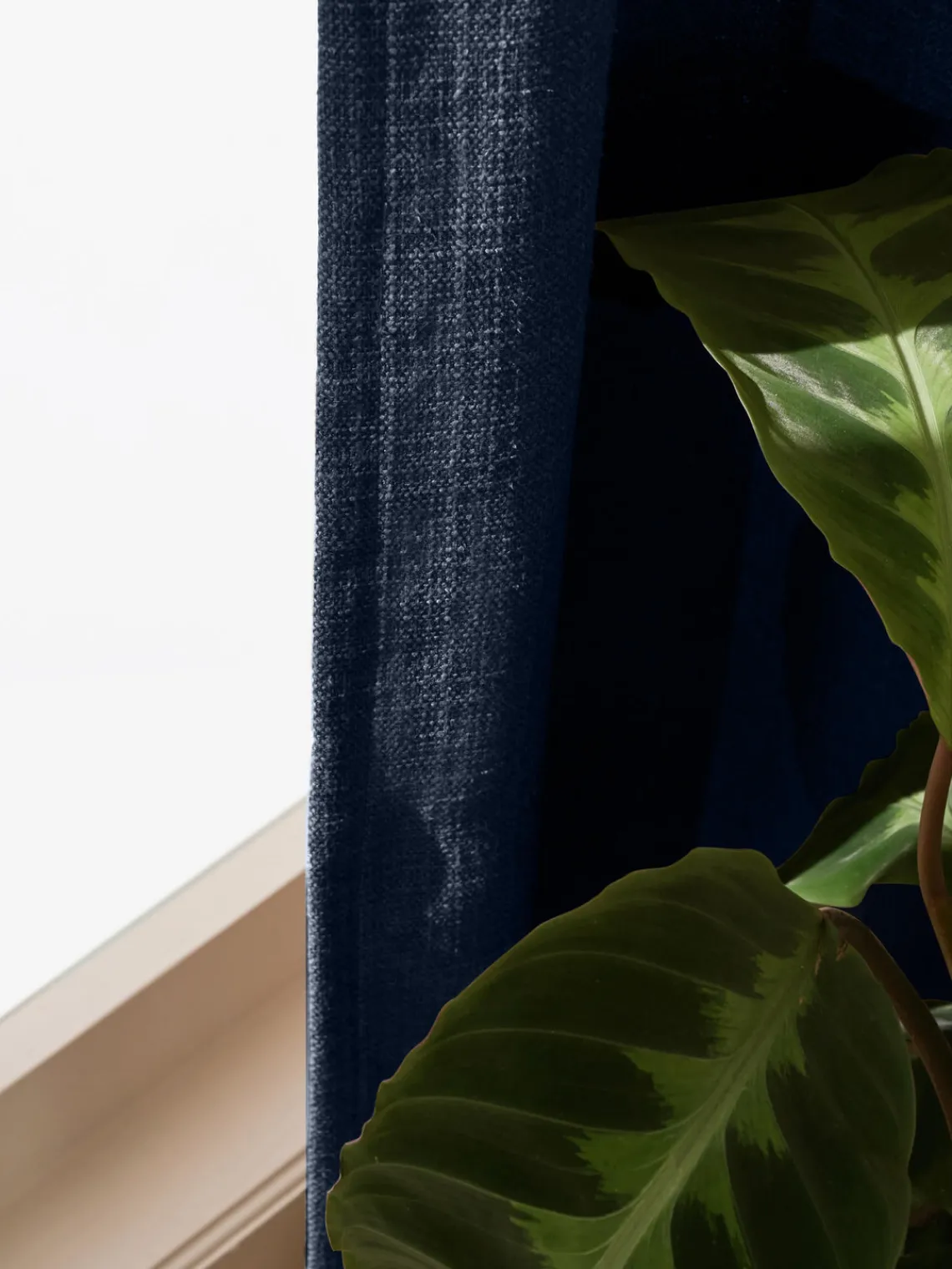 Online Cortinas semiopacas con multibanda Jensen, 2 uds. Cortinas Y Visillos|Mantas