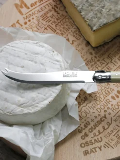 Cuchillos De Cocina Y Bloques|Cuchillos De Queso>Laguiole Cuchillos para queso Debutant, 2 uds. Hojas: plateado pulido espejoMangos: blanco Off WhiteRecipiente: madera clara