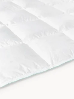 Mantas|Edredones></noscript>Westwing Collection Edredón cuatro estaciones de plumón Premium, normal 4 estaciones