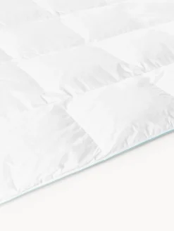 Edredones|Mantas><noscript><img width=