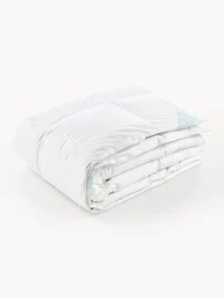 Edredones|Mantas>Westwing Collection Edredón de plumón Komfort, Medio