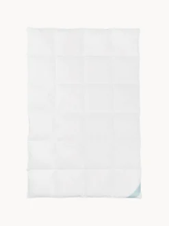 Edredones|Mantas><noscript><img width=