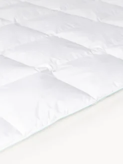 Mantas|Edredones><noscript><img width=