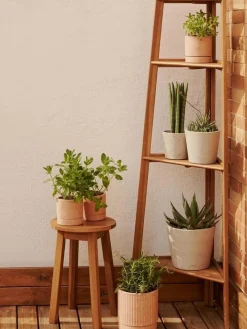 Maceteros|Maceteros De Exterior> Escalera para macetas de madera Victora