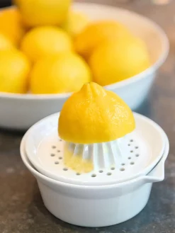 Artículos De Cocina|Utensilios De Cocina>ASA Selection Exprimidor de porcelana Plus