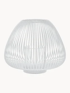 Farolillo Lyva Farolillos|Jarrones