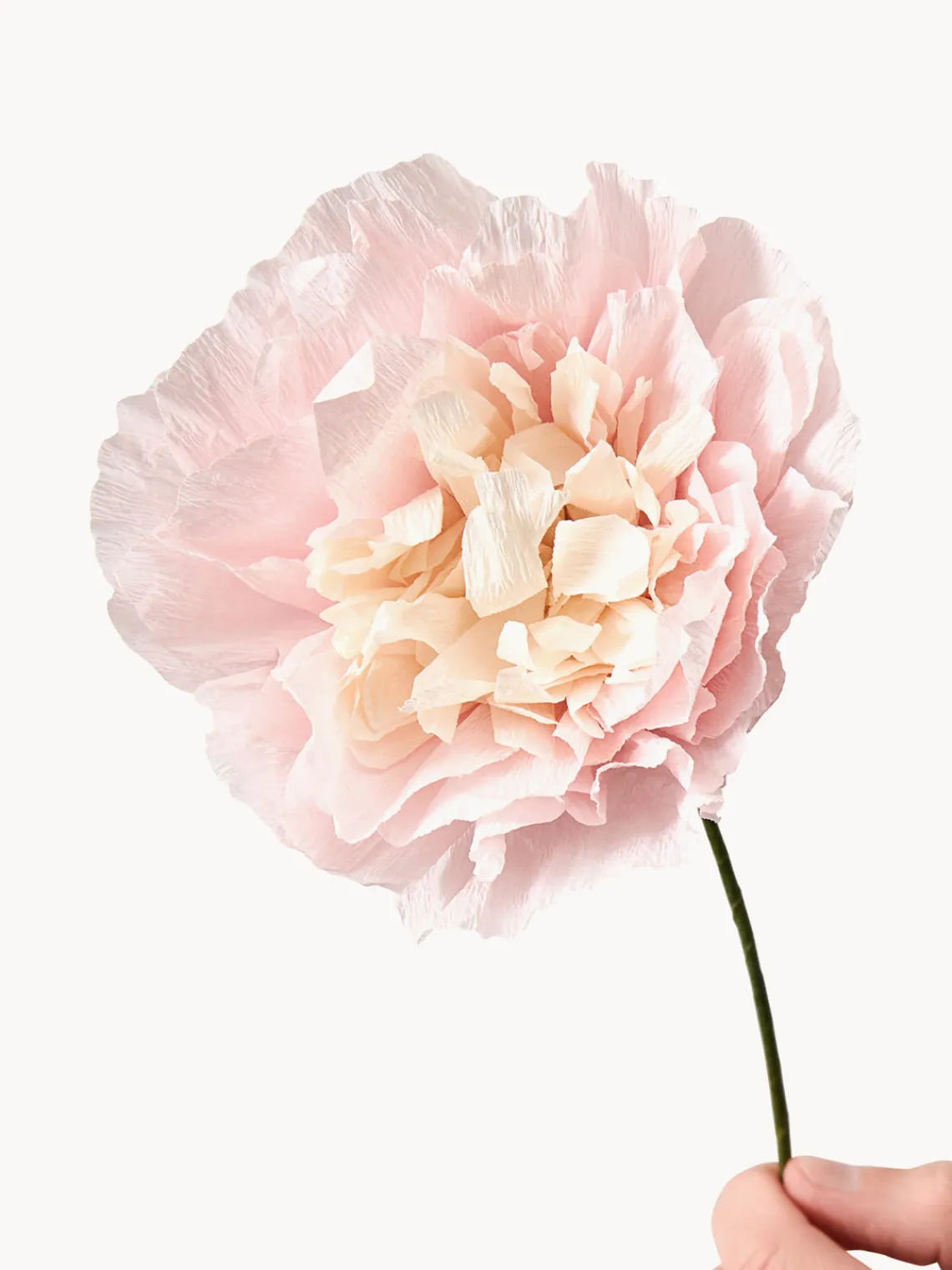 Flores Artificiales|Jarrones>Studio About Flor artificial artesanal Veggie Rose Rosa claro