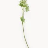 Flores Artificiales|Jarrones>Bloomingville Flor artificial Fenchel