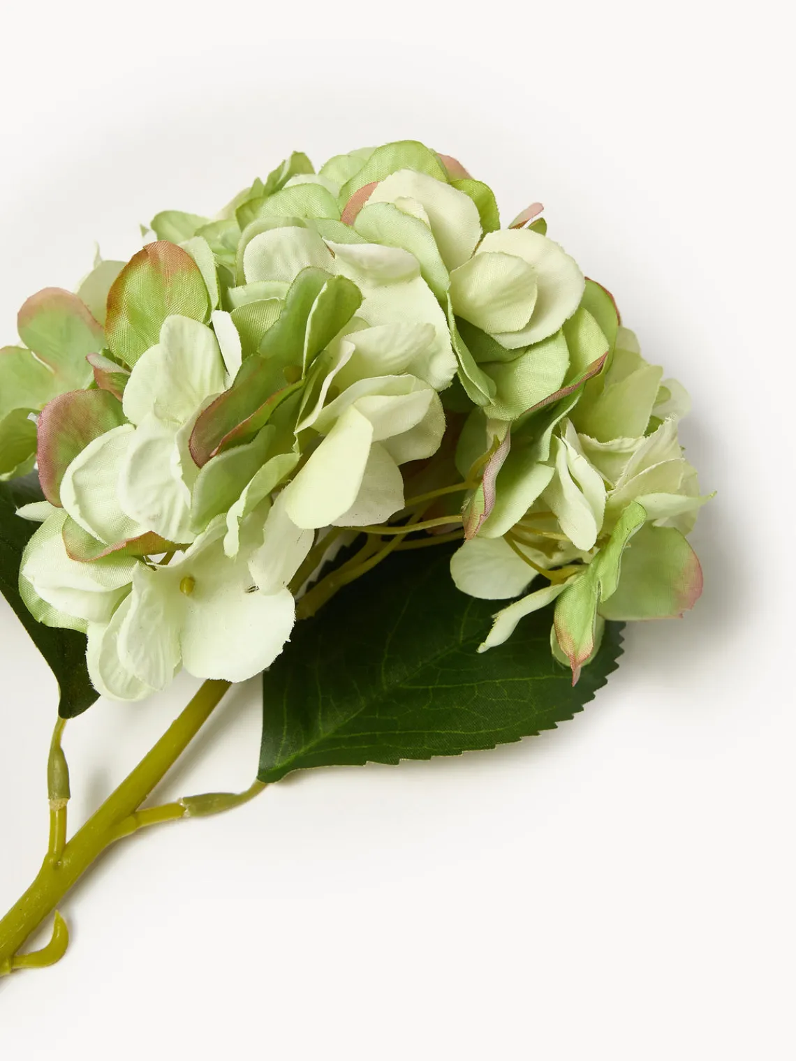 Flores Artificiales|Jarrones>Bloomingville Flor artificial Hortensie