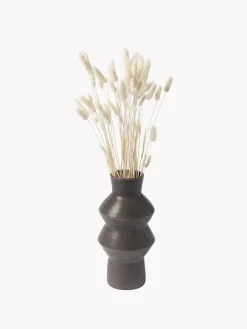 Jarrones|Flores Artificiales>Cooee Design Flores secas Lagurus Beige