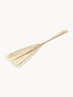 Online Flores secas Pampas Flores Artificiales|Jarrones