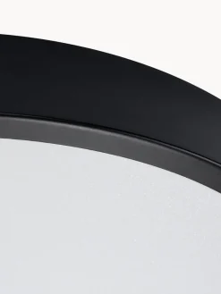 Plafones|Lámparas De Techo><noscript><img width=