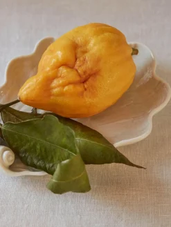 Hot Fuente artesanal de porcelana Swan Cuencos Y Platos De Servir|Vajillas Completas