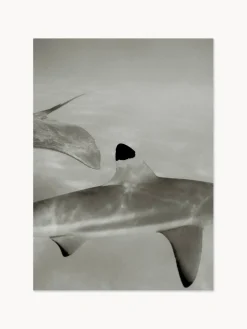 Pósters|Jarrones>Paper Collective Impresión digital Abyssal