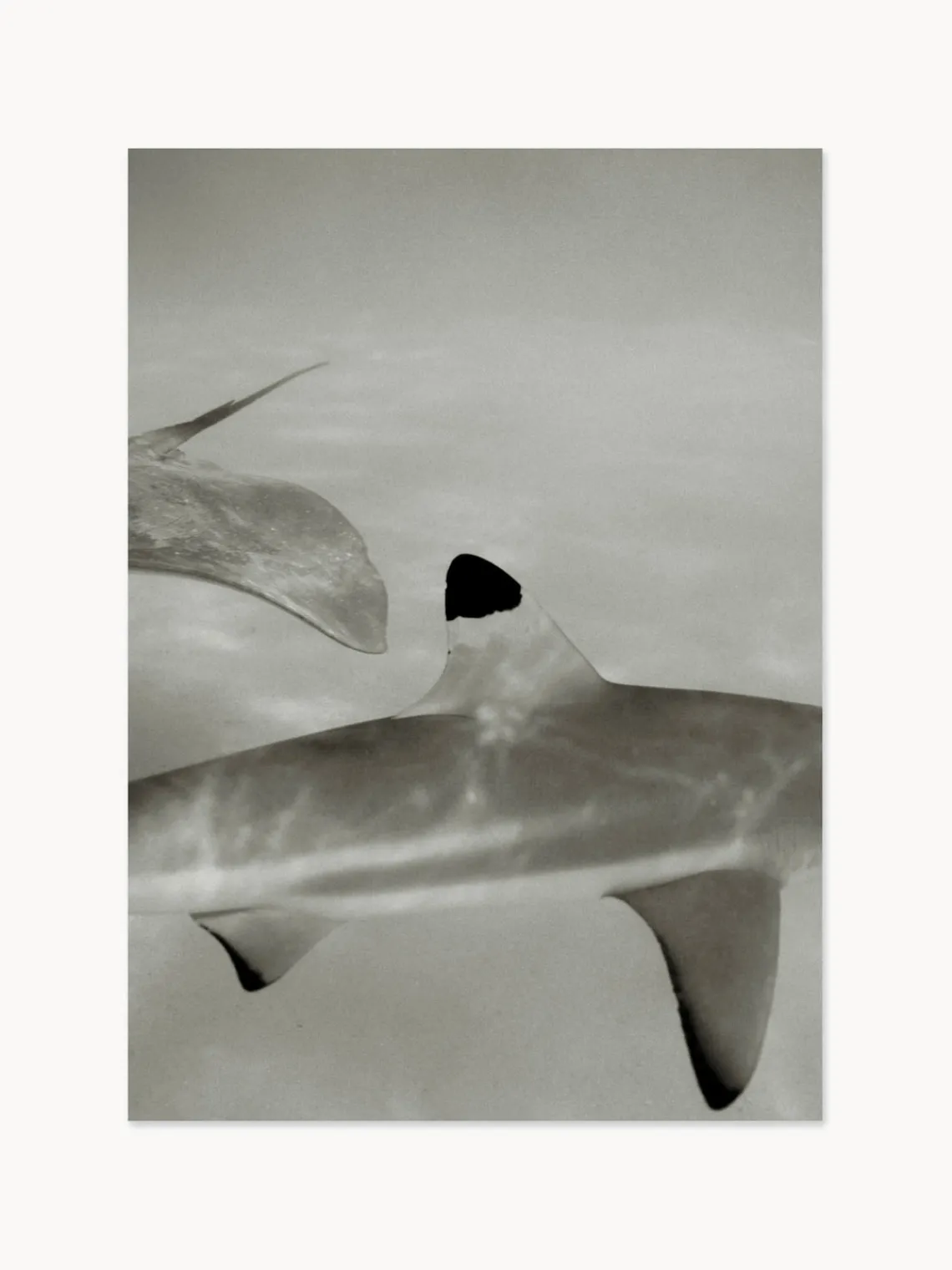 Pósters|Jarrones>Paper Collective Impresión digital Abyssal