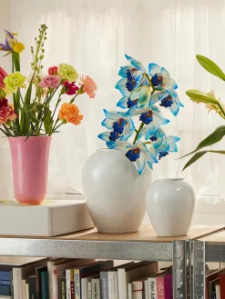 Jarrones|Jarrones><noscript><img width=