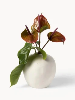 Jarrones|Jarrones></noscript>Westwing Collection Jarrón de gres Bruno, 26 cm