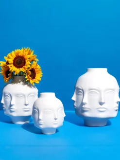 Jarrones|Jarrones><noscript><img width=