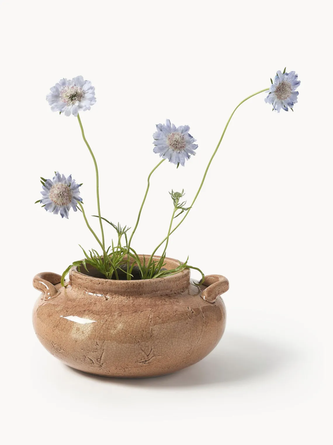 Jarrones|Jarrones>Westwing Collection Jarrón de terracota Veda, 16 cm