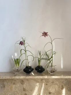 Jarrones|Jarrones>Hein Studio Jarrón de vidrio soplado Canyon, 8 cm Transparente