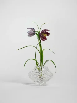 Jarrones|Jarrones><noscript><img width=