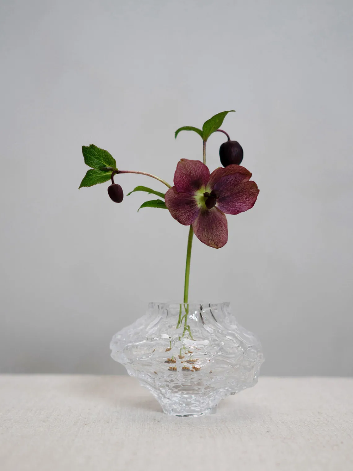 Jarrones|Jarrones>Hein Studio Jarrón de vidrio soplado Canyon, 8 cm Transparente