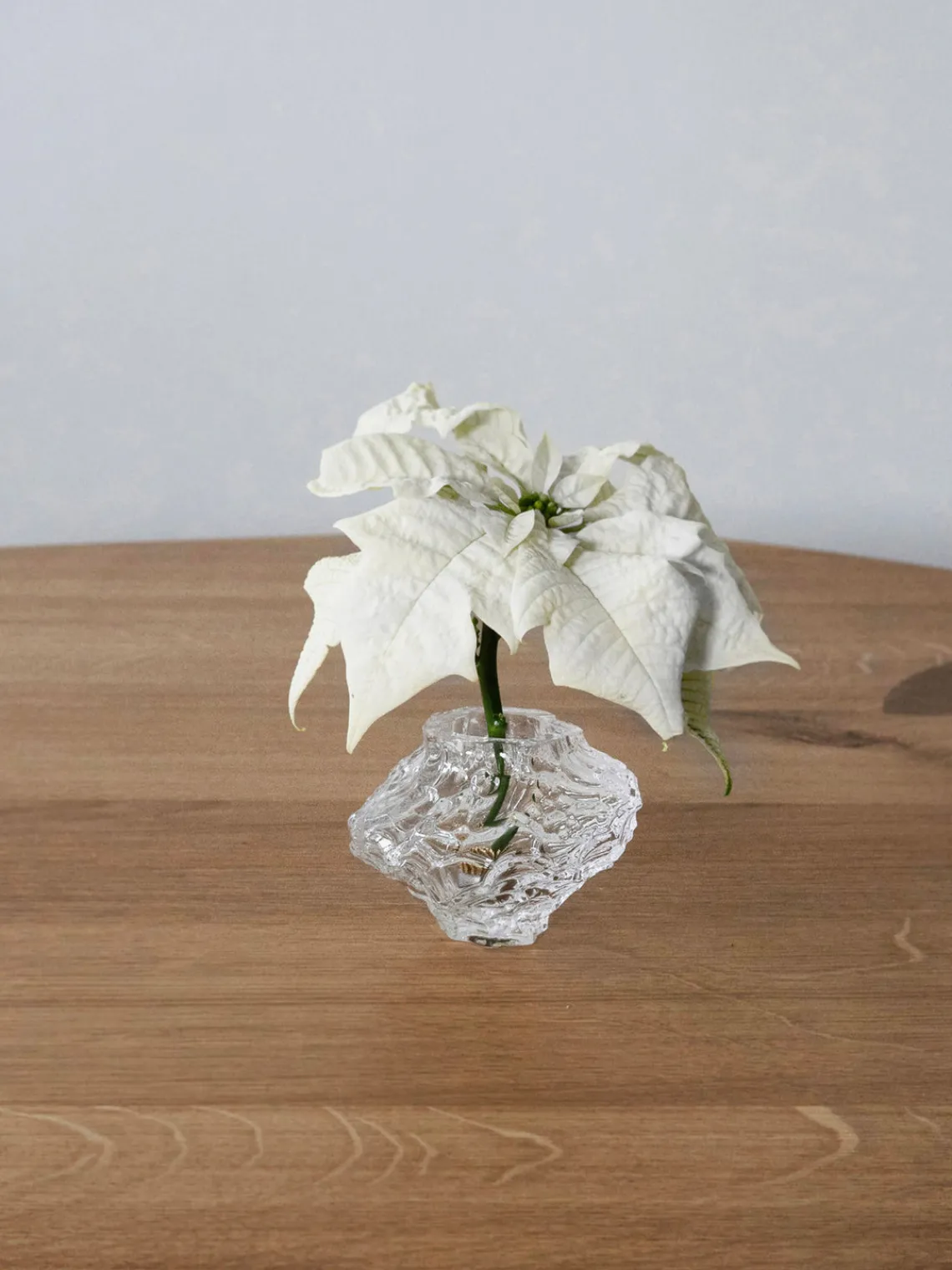 Jarrones|Jarrones>Hein Studio Jarrón de vidrio soplado Canyon, 8 cm Transparente