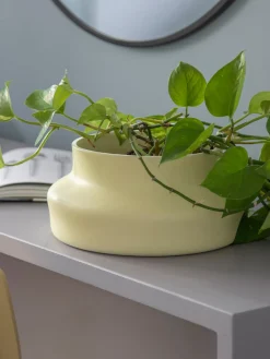 Jarrones|Jarrones>Gense Jarrón Dorotea