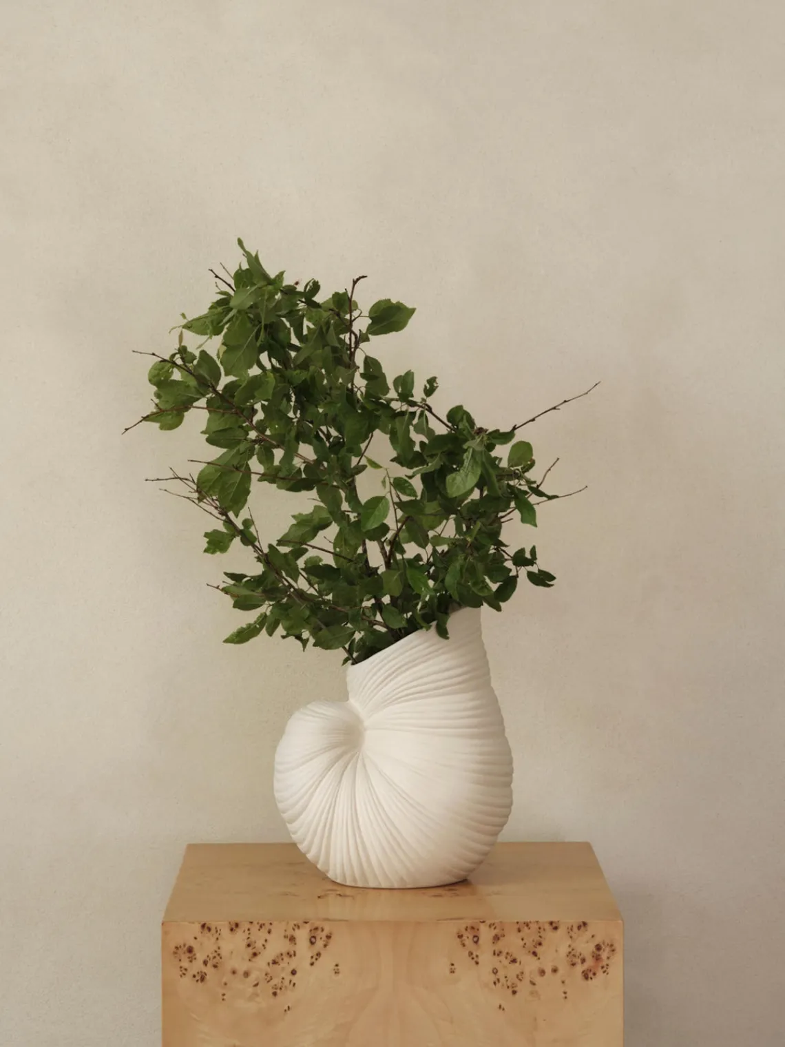 Jarrones|Jarrones>Ferm Living Jarrón en forma de concha Shell, 27 cm