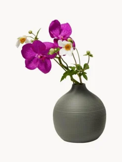 Jarrones|Jarrones>Philippi Jarrón Lim