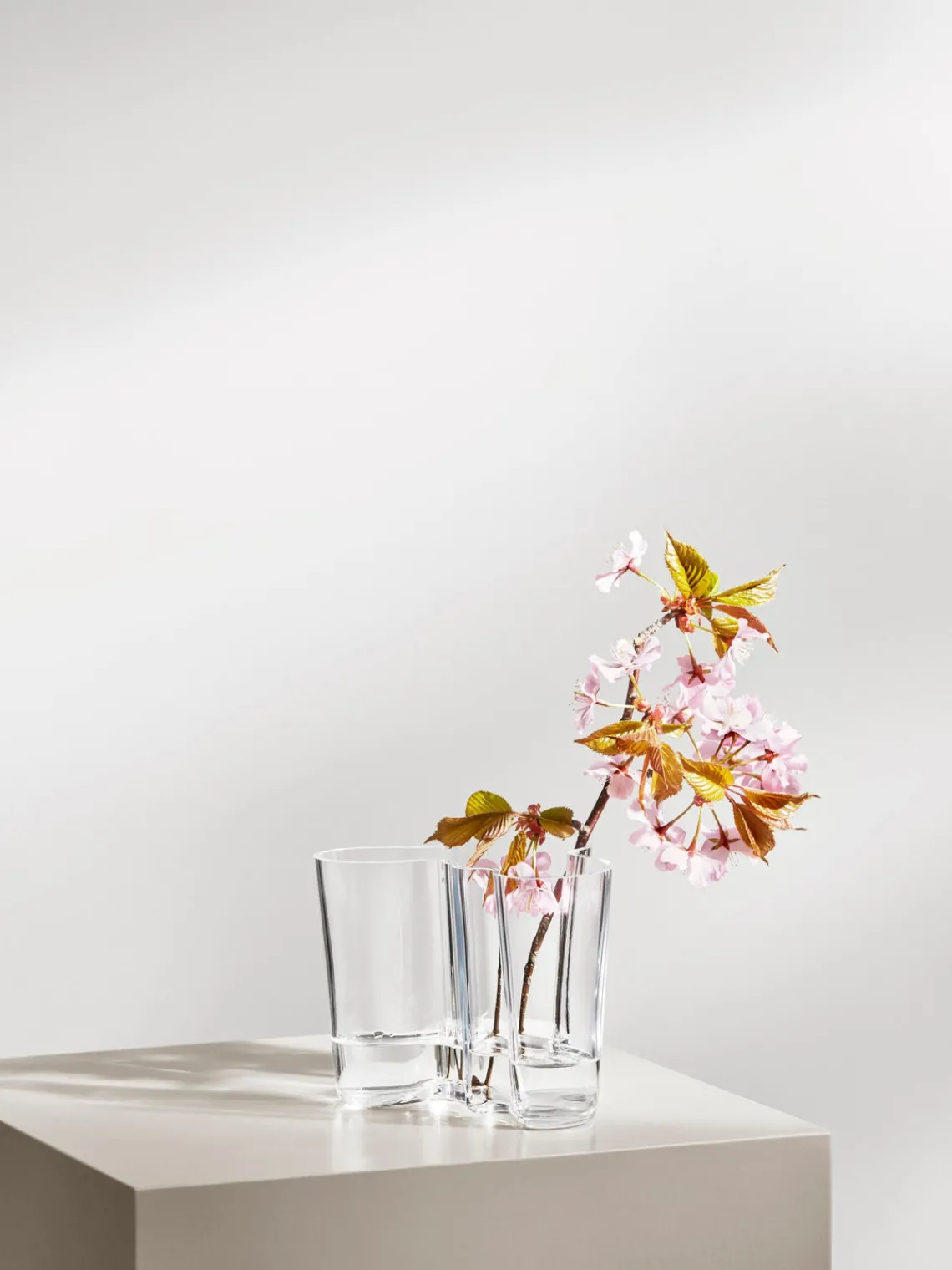 Hot Jarrón soplado artesanalmente Alvar Aalto, 16 cm Jarrones|Jarrones