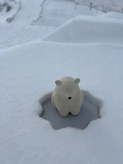 Juguetes Para Bebés|Juguetes Para Bebés>Oli & Carol Juguete de baño artesanal Ice Protector