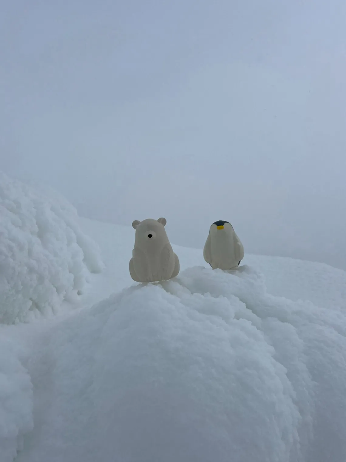 Juguetes Para Bebés|Juguetes Para Bebés>Oli & Carol Juguete de baño artesanal Ice Protector
