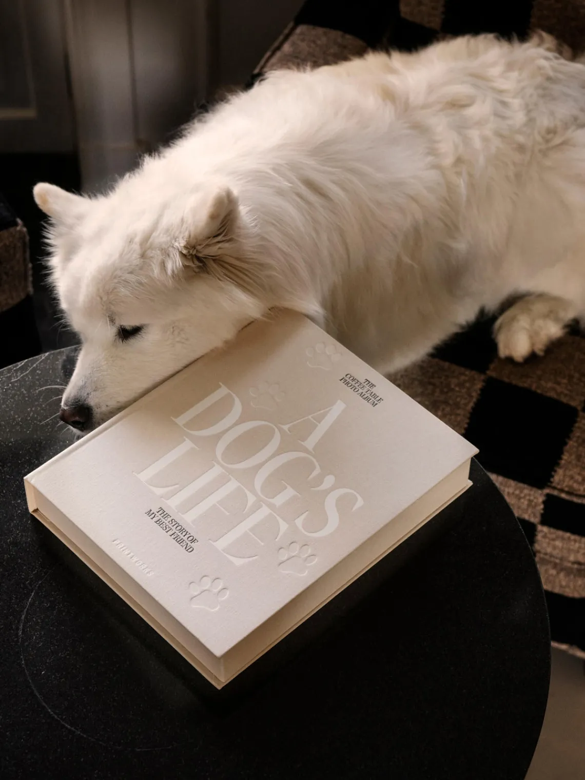 Online Álbum de fotos A Dog's Life Libros Decorativos|Jarrones