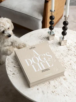 Online Álbum de fotos A Dog's Life Libros Decorativos|Jarrones