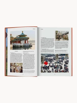 Hot Libro ilustrado Libros Decorativos|Jarrones