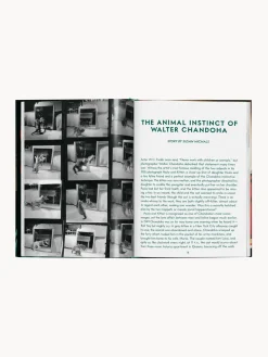 Discount Libro ilustrado Cats. Photographs 1942–2018 Libros Decorativos|Jarrones