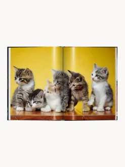 Discount Libro ilustrado Cats. Photographs 1942–2018 Libros Decorativos|Jarrones