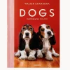 Libros Decorativos|Jarrones>TASCHEN Libro ilustrado Dogs. Photographs 1941–1991
