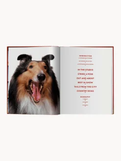 Libros Decorativos|Jarrones>TASCHEN Libro ilustrado Dogs. Photographs 1941–1991
