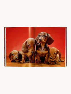 Libros Decorativos|Jarrones></noscript>TASCHEN Libro ilustrado Dogs. Photographs 1941–1991