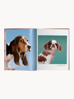 Libros Decorativos|Jarrones></noscript>TASCHEN Libro ilustrado Dogs. Photographs 1941–1991